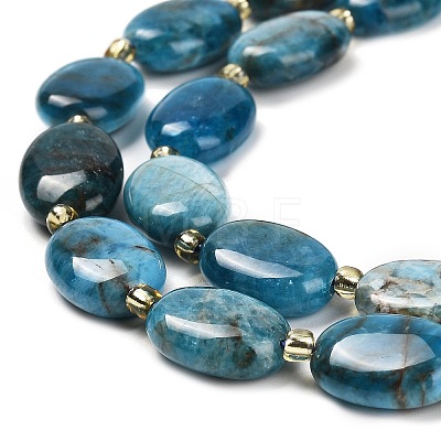 Natural Apatite Beads Strands G-H005-A03-02-1