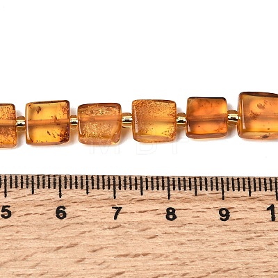 Natural Amber Beads Strands G-C260-A01-06-1