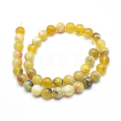 Natural Yellow Opal Round Bead Strands G-M296-02-6mm-1