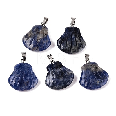 Natural Sodalite Pendants G-T138-208J-1