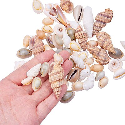 Natural Trumpet Shell Beads BSHE-PH0001-11-1