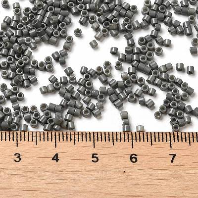 Baking Paint Glass Seed Beads X-SEED-S042-05B-42-1