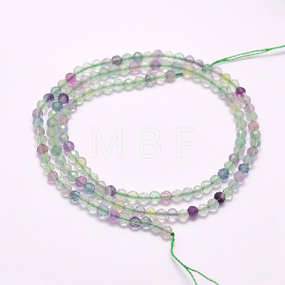 Natural Fluorite Beads Strands G-F596-32-2mm-1