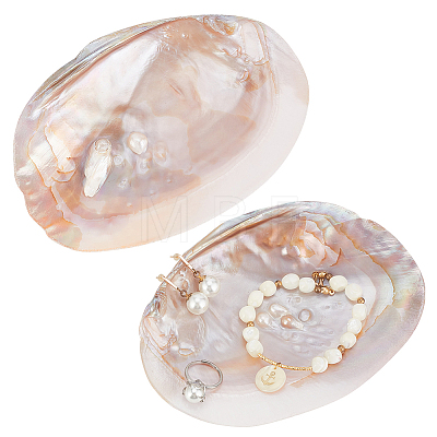 2Pcs Natural Freshwater Pearl Shell Decoration SHEL-NB0001-64-1