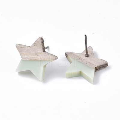 Resin & Wood Stud Earrings EJEW-N017-001A-C03-1