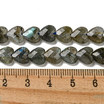 Natural Labradorite Beads Strands G-P544-E01-01-1