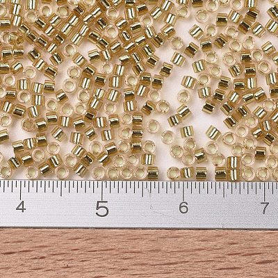MIYUKI Delica Beads SEED-X0054-DB2521-1