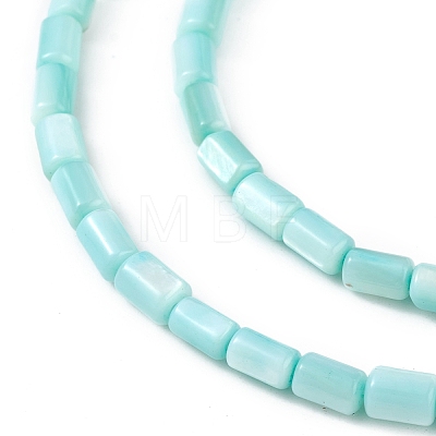 Natural Freshwater Shell Dyed Beads Strands SHEL-M018-12-06-1