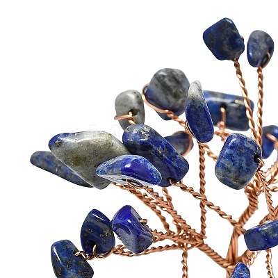 Natural Lapis Lazuli Chip Pachira Glabra Display Decorations DJEW-K025-04E-1