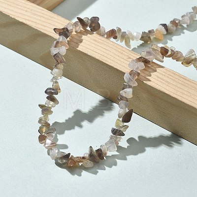 Natural Supper 7 Rutilated Quartz Chip Beaded Necklaces for Men Women NJEW-G159-01V-1