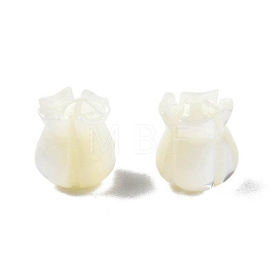 Natural Trochid Shell/Trochus Shell Beads SSHEL-N003-145A-B01-1