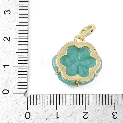 Natural Amazonite Carved Pendants G-G330-01G-07-1