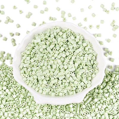 FGB Baking Paint Glass Seed Beads SEED-Q040-09A-10-1