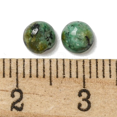 Natural African Turquoise(Jasper) Cabochons G-Q173-01B-05-1