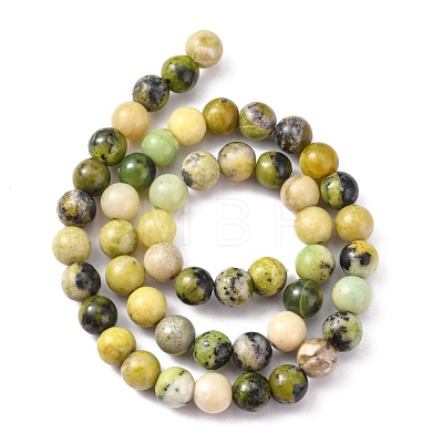 Natural Serpentine Beads Strands G-N166-4-1