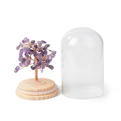 Natural Amethyst Chips Money Tree in Dome Glass Bell Jars with Wood Base Display Decorations DJEW-B007-04G-1