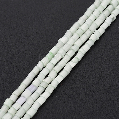 Glass Silk Stain Style Beads Strands GLAA-N047-001A-06-1