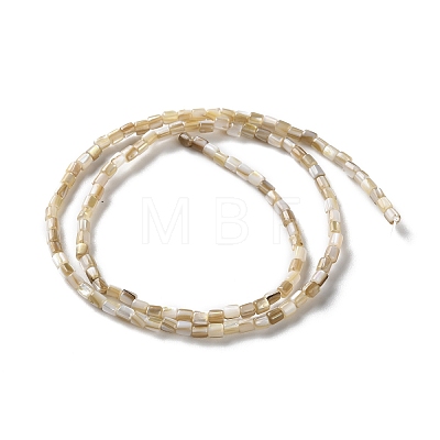 Natural Freshwater Shell Beads Strands X-SSHEL-B002-17-1