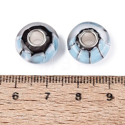 Handmade Lampwork & Brass Core European Beads LAMP-N044-01S-02-1