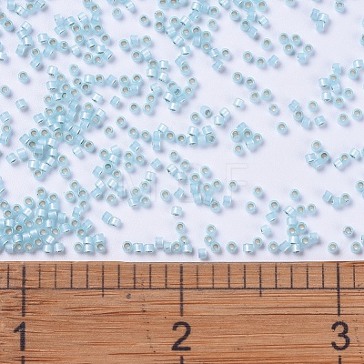 MIYUKI Delica Beads X-SEED-J020-DB0628-1