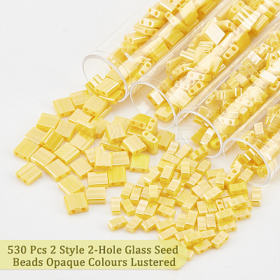  530Pcs 2 Style 2-Hole Glass Seed Beads SEED-NB0001-74-1