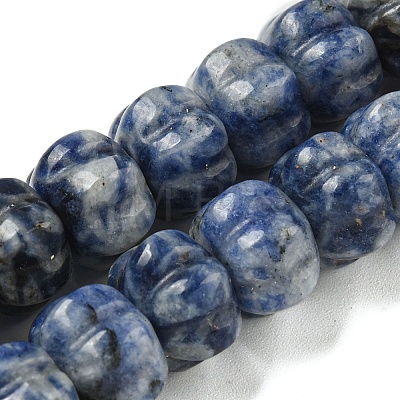 Natural Blue Spot Jasper Beads Strands G-G142-A13-01-1