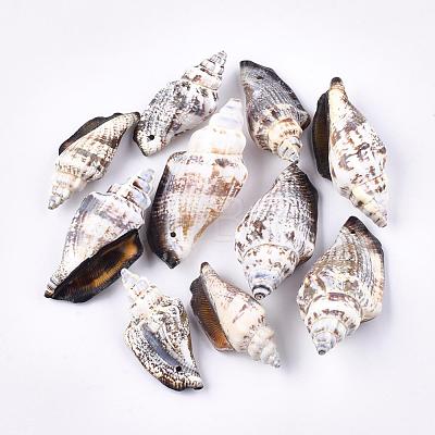 Natural Spiral Shell Beads SSHEL-R036-18-1