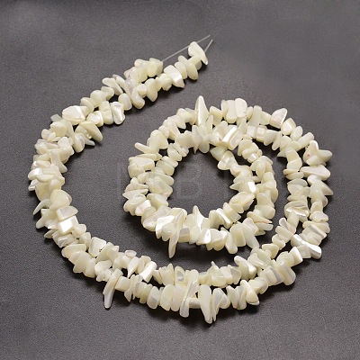 Natural White Mother of Pearl Shell Chip Bead Strands X-G-M205-63-1
