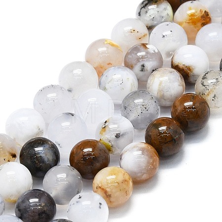 Natural White African Opal Beads Strands G-K245-A18-05-1