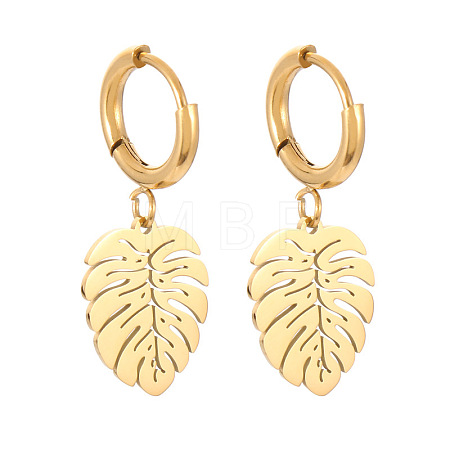 304 Stainless Steel Hoop Earrings FS-WG34379-01-1