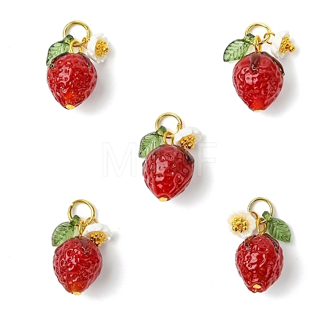 5Pcs Handmade Lampwork Pendants PALLOY-YW00108-01A-1