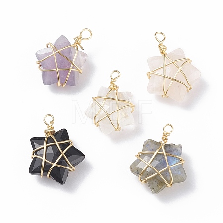 Natural Gemstone Pendants PALLOY-JF01457-01-1