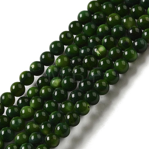 Natural Freshwater Shell Beads Strands SHEL-H003-03A-1