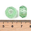 Transparent Resin European Beads RESI-XCP0002-46-3