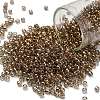 TOHO 8/0 Round Beads X-SEED-TR08-0204-1