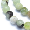 Natural Jade Beads Strands G-L552H-13C-2