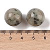 Natural Sesame Jasper No Hole Sphere Beads G-K353-04D-36-3