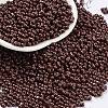 Baking Paint Glass Seed Beads X1-SEED-A033-05F-1