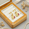 304 Stainless Steel Micro Pave Cubic Zirconia Stud Dangle Earrings WGC9028-01-2