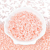 Glass Bugle Beads X-SEED-N007-28O-2