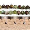 Natural Serpentine Beads Strands G-B107-A05-06-4