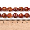 Natural Fire Crackle Agate Beads Strands G-K393-C01-10mm-5