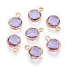 Golden Tone Brass Glass Charms X-GLAA-ZX008-24I-G-1
