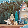Ocean Poplar Wood Display Cases with Visible Acrylic Window DJEW-WH0042-126A-5
