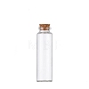 Glass Empty Wishing Bottle PW-WG17389-08-1