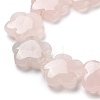 Natural Rose Quartz Beads Strands G-F769-X01-02-4