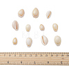 Natural Cowrie Shell Beads BSHE-CJ0002-01-2