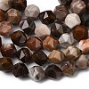 Natural Petrified Wood Beads Strands G-Z119-A21-01-5