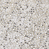 Glass Seed Beads SEED-S042-04A-06-3