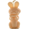 Easter Rabbit DIY Acrylic Candle Molds PW-WG43124-01-4